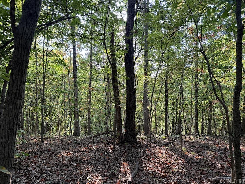  Fawn Drive  Harriet, AR