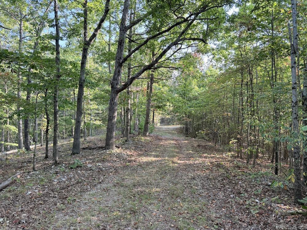  Fawn Drive  Harriet, AR