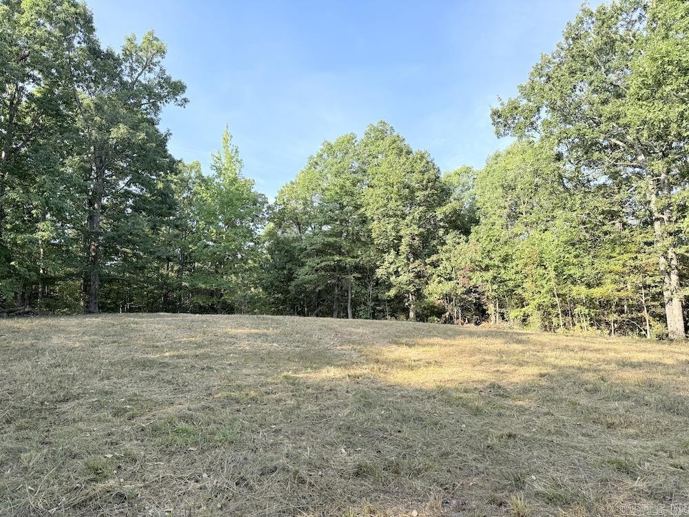  Fawn Drive  Harriet, AR