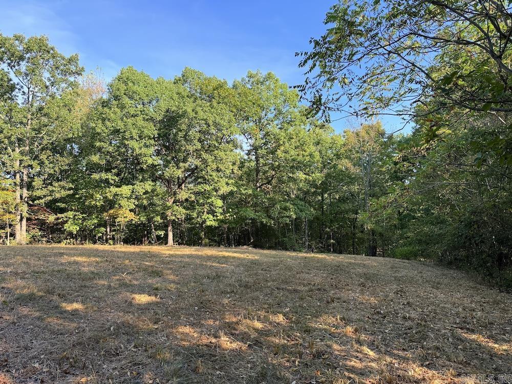  Fawn Drive  Harriet, AR