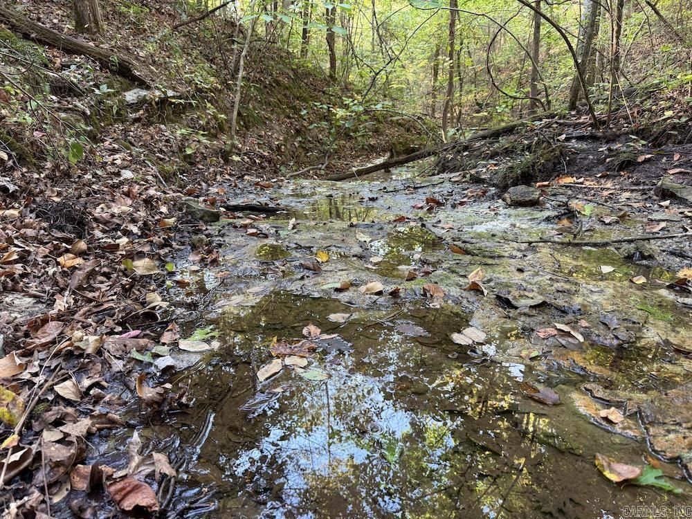  Fawn Drive  Harriet, AR