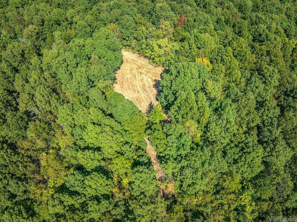  Fawn Drive  Harriet, AR