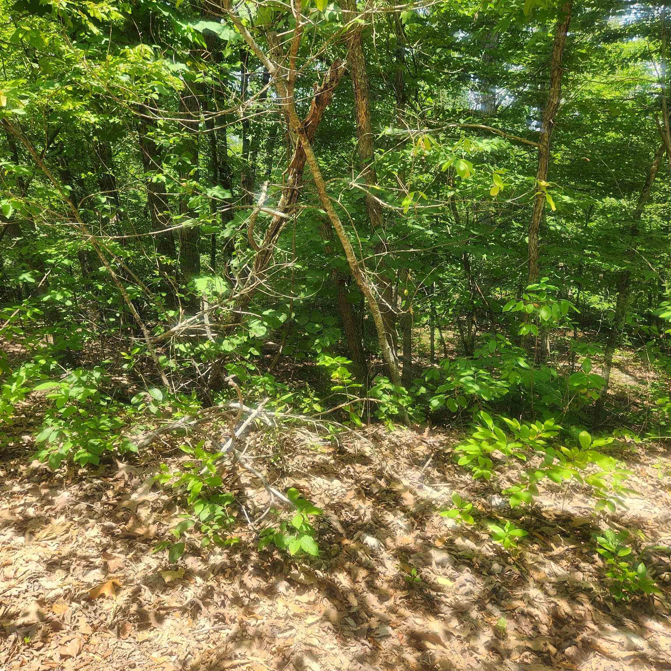 L-27, B-15 Goti  Cherokee Village, AR