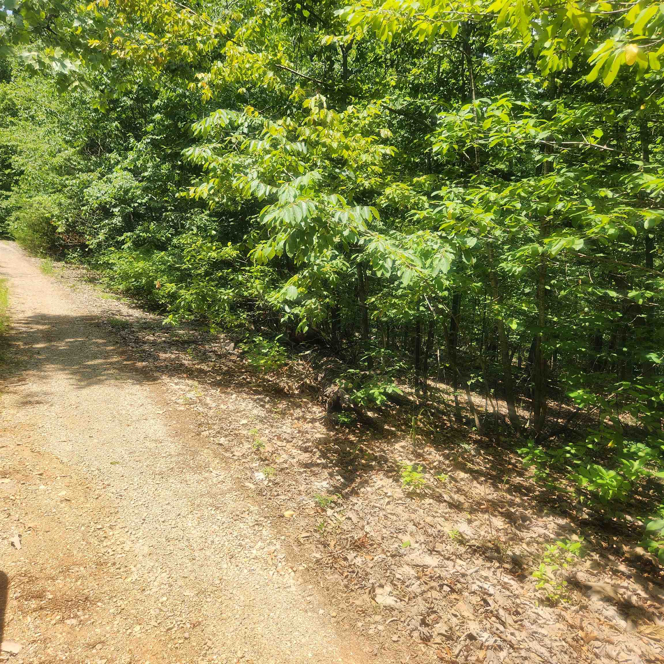 L-27, B-15 Goti  Cherokee Village, AR