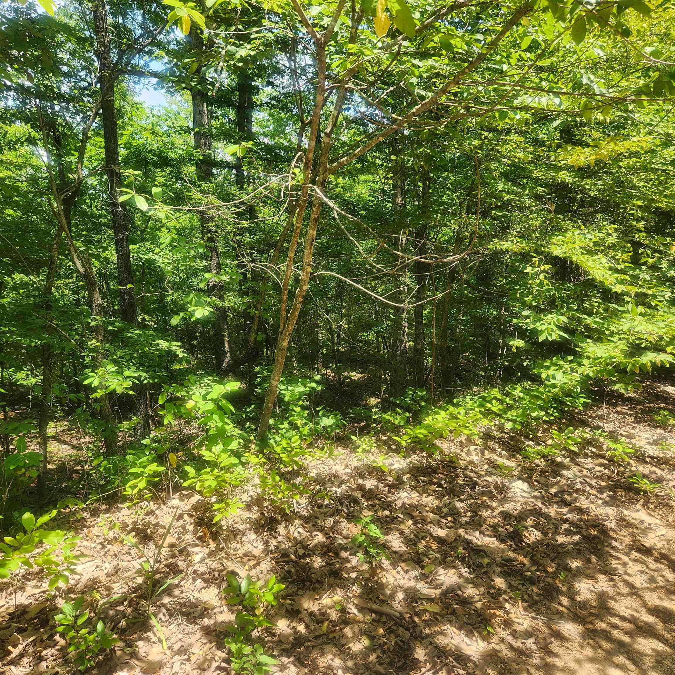 L-27, B-15 Goti  Cherokee Village, AR