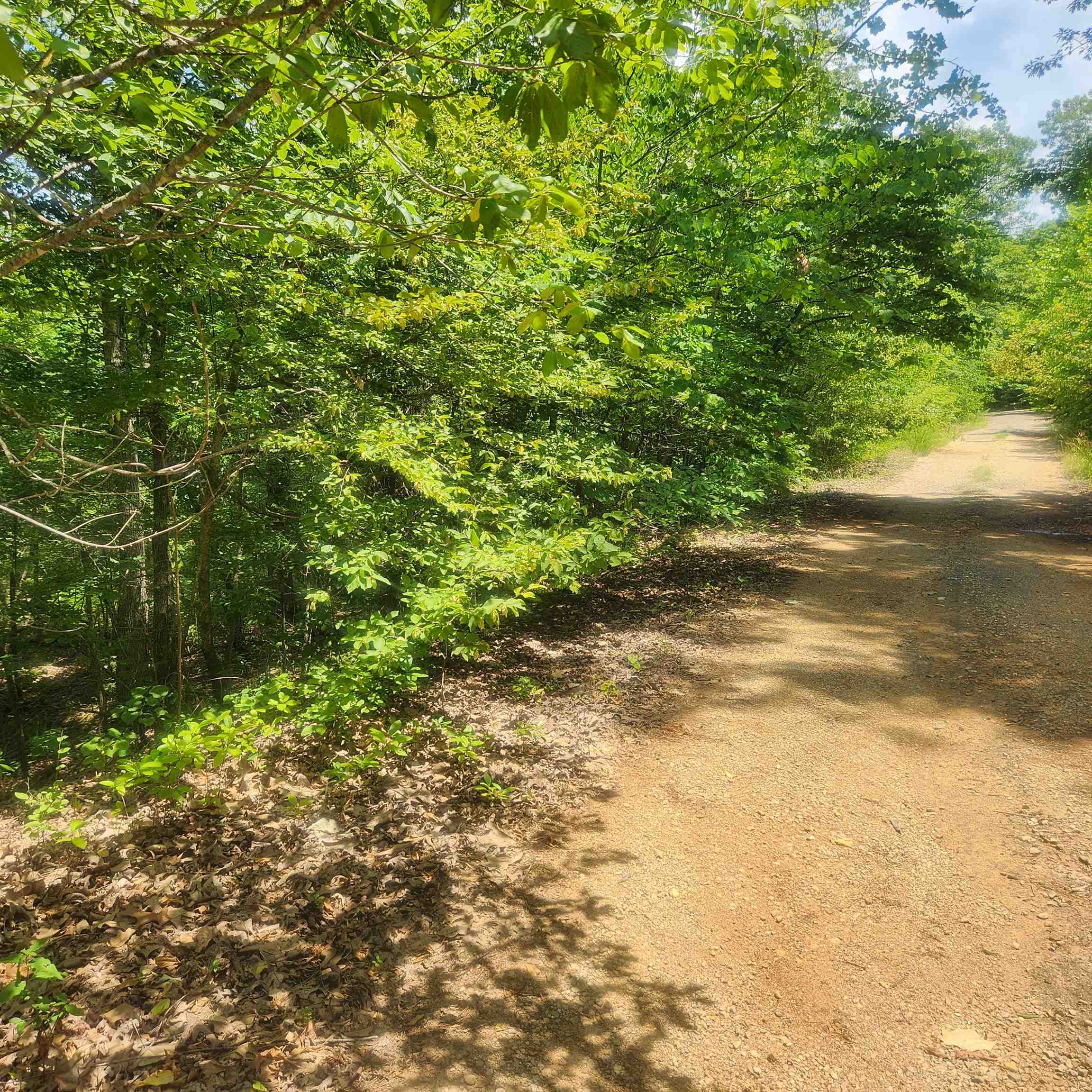 L-27, B-15 Goti  Cherokee Village, AR