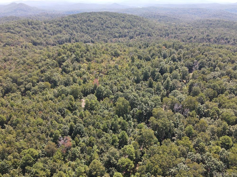 Haw Mountain Cemetery Road  Calico Rock, AR