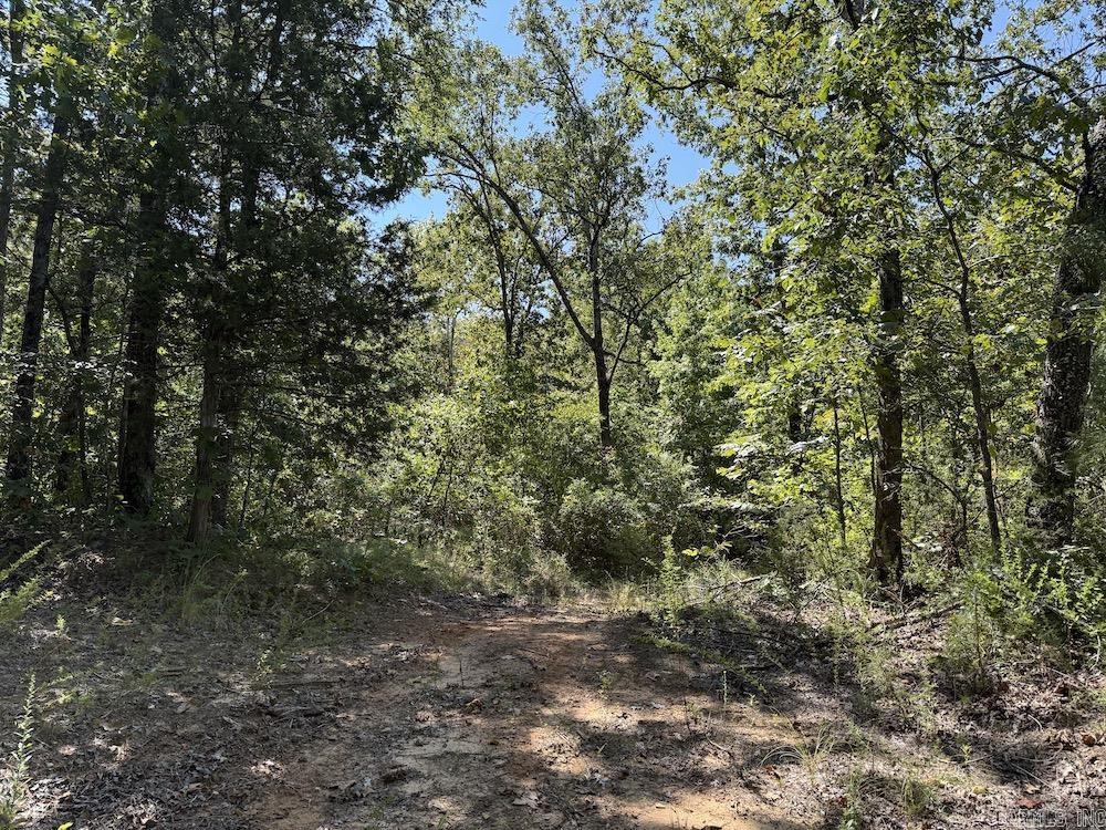  Haw Mountain Cemetery Road  Calico Rock, AR