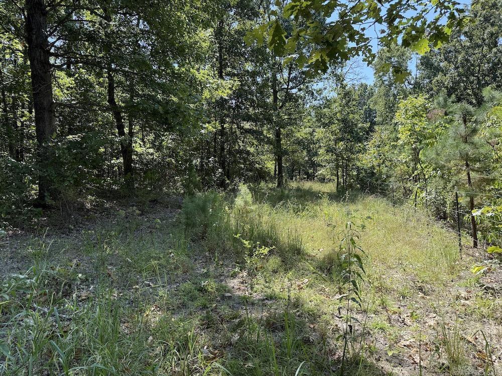  Haw Mountain Cemetery Road  Calico Rock, AR