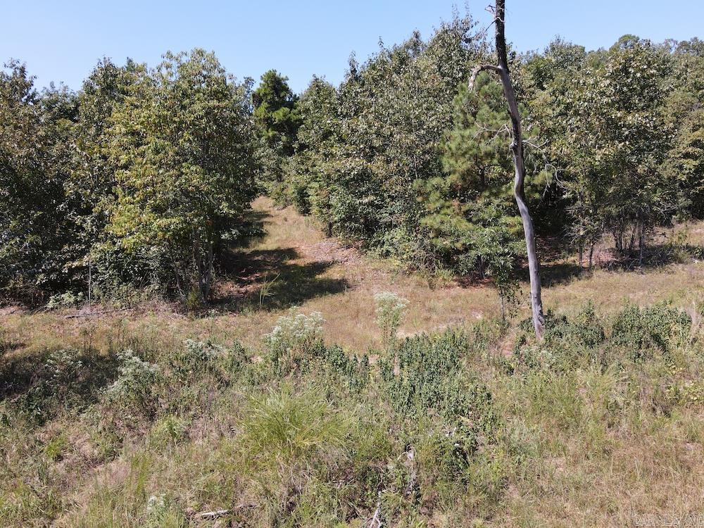  Haw Mountain Cemetery Road  Calico Rock, AR