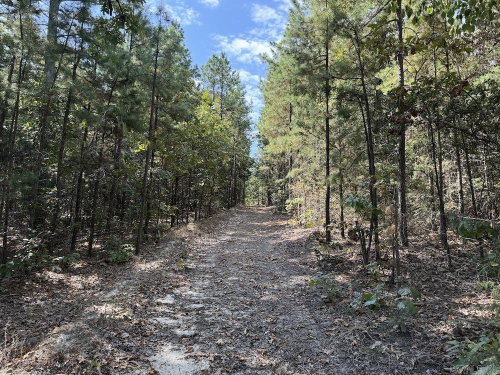 643 W Spring Hill Road Oxford, AR 72565