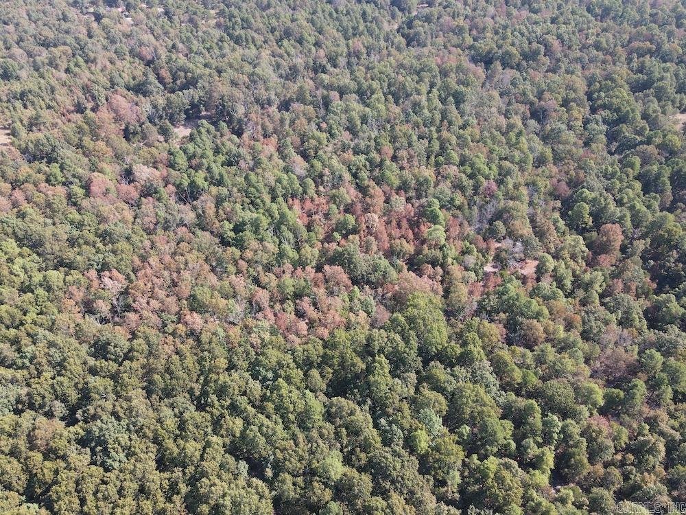 643 W Spring Hill Road Oxford, AR 72565