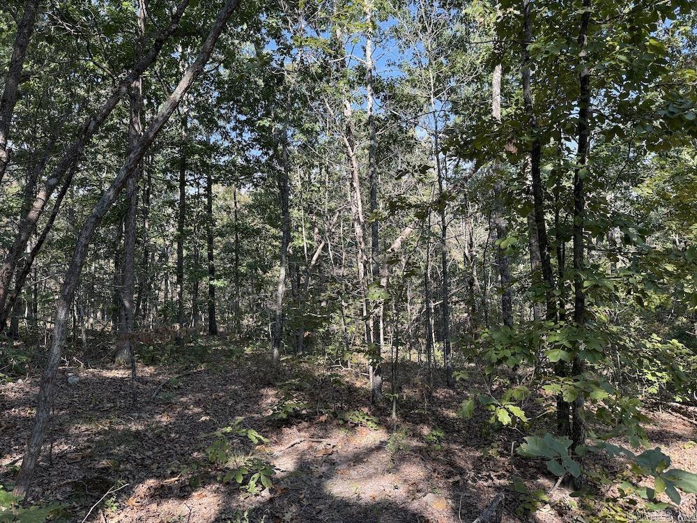 643 W Spring Hill Road Oxford, AR 72565