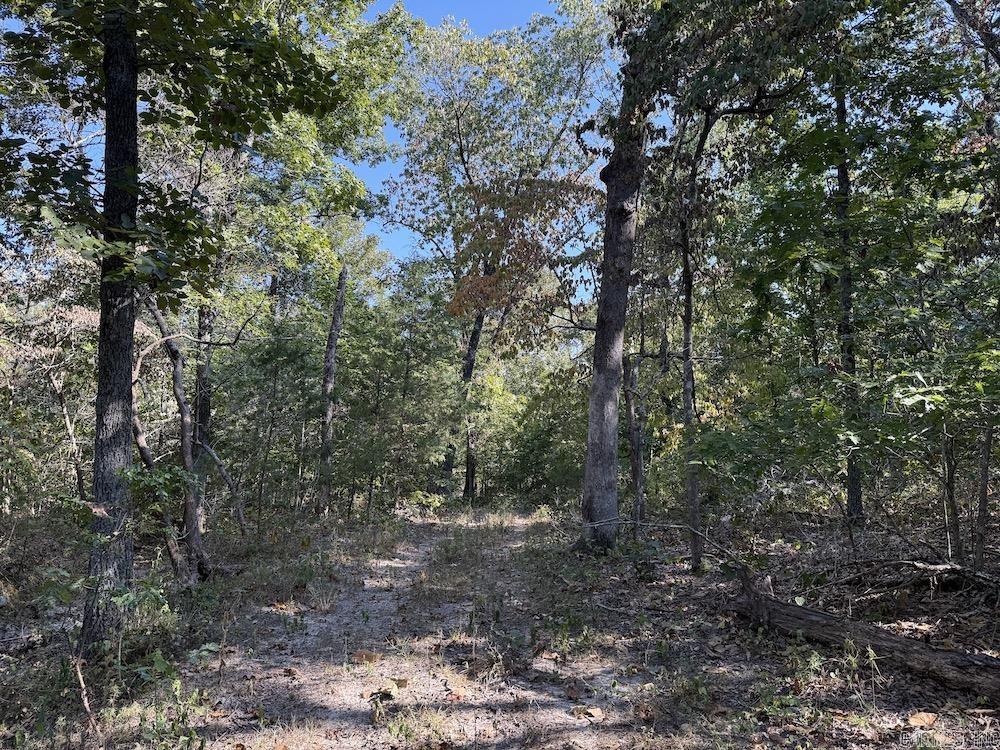 643 W Spring Hill Road Oxford, AR 72565