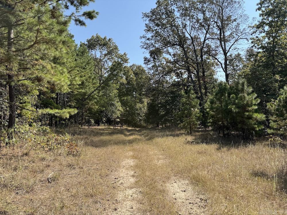 643 W Spring Hill Road Oxford, AR 72565