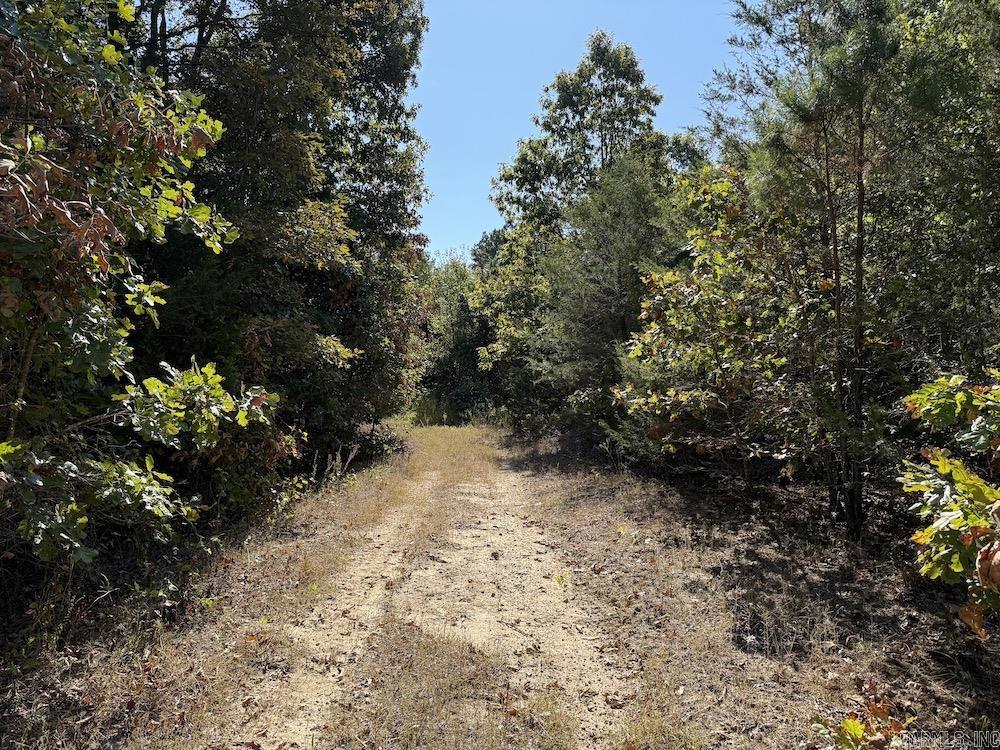 643 W Spring Hill Road Oxford, AR 72565