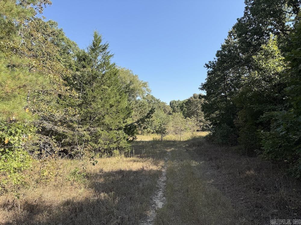 643 W Spring Hill Road Oxford, AR 72565