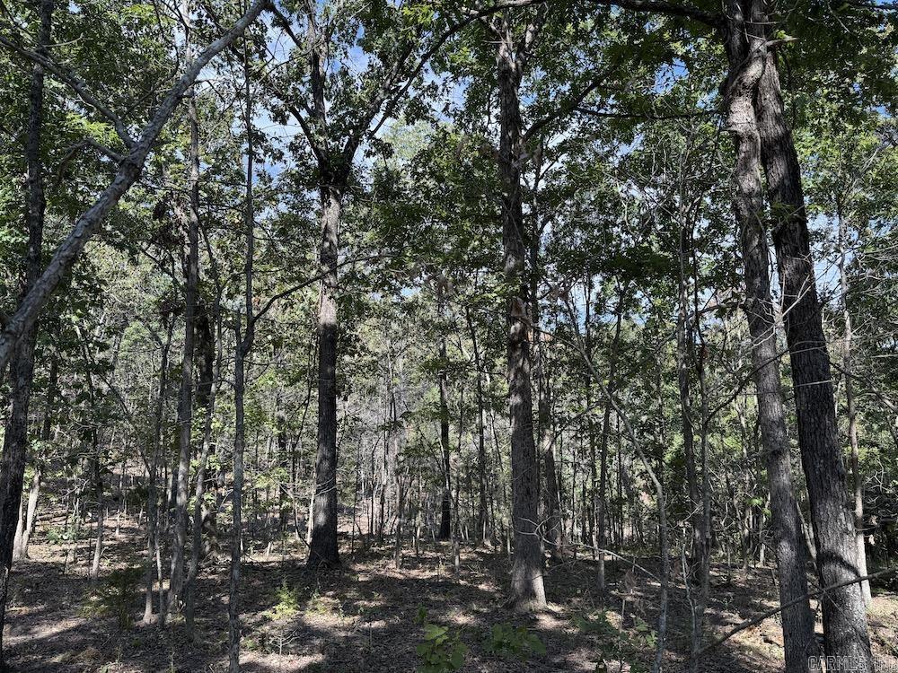 643 W Spring Hill Road Oxford, AR 72565