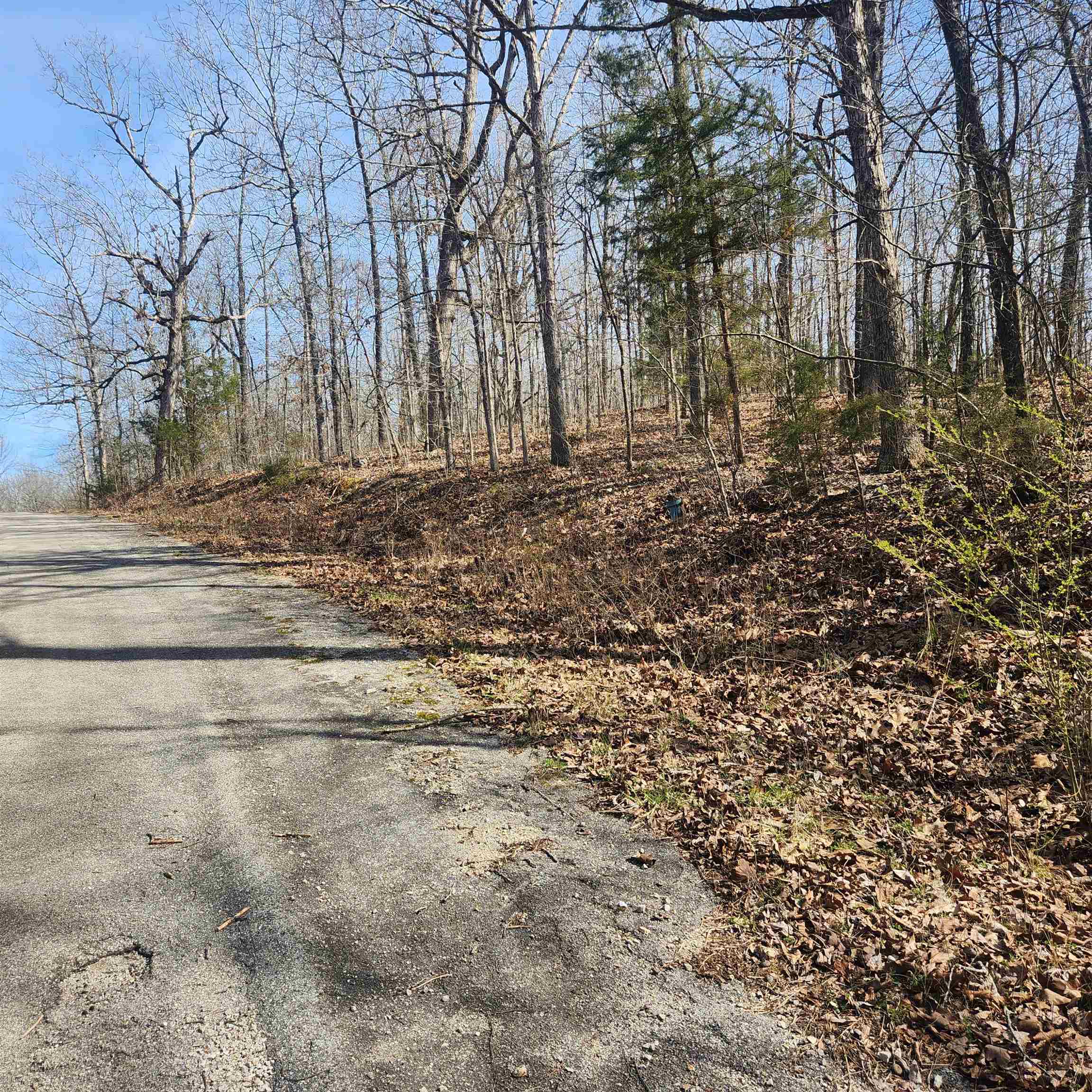 L-4, B-6 Chickasaw  Cherokee Village, AR