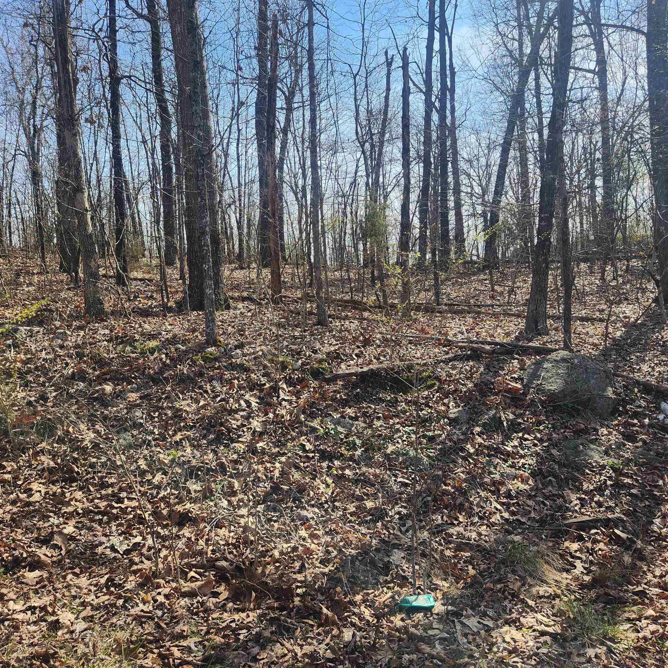 L-4, B-6 Chickasaw  Cherokee Village, AR