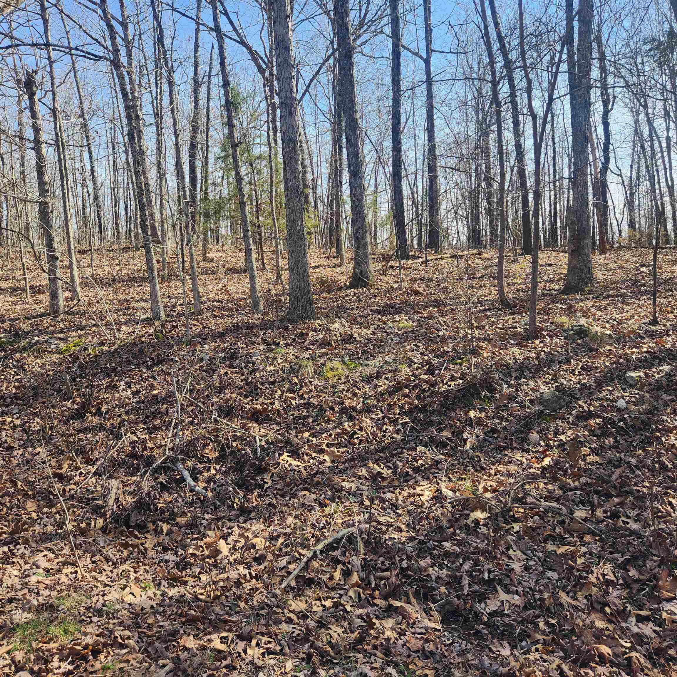 L-4, B-6 Chickasaw  Cherokee Village, AR