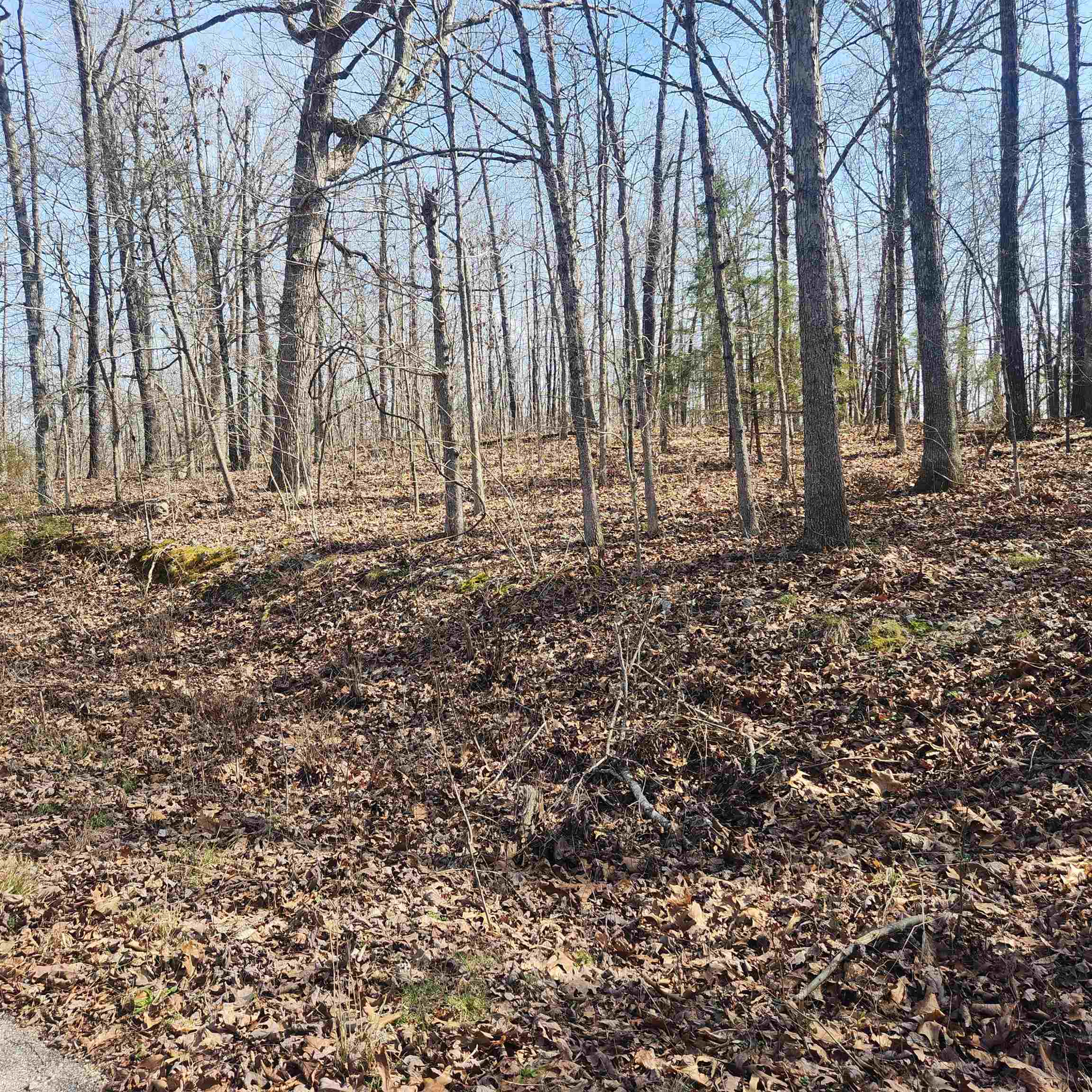 L-4, B-6 Chickasaw  Cherokee Village, AR