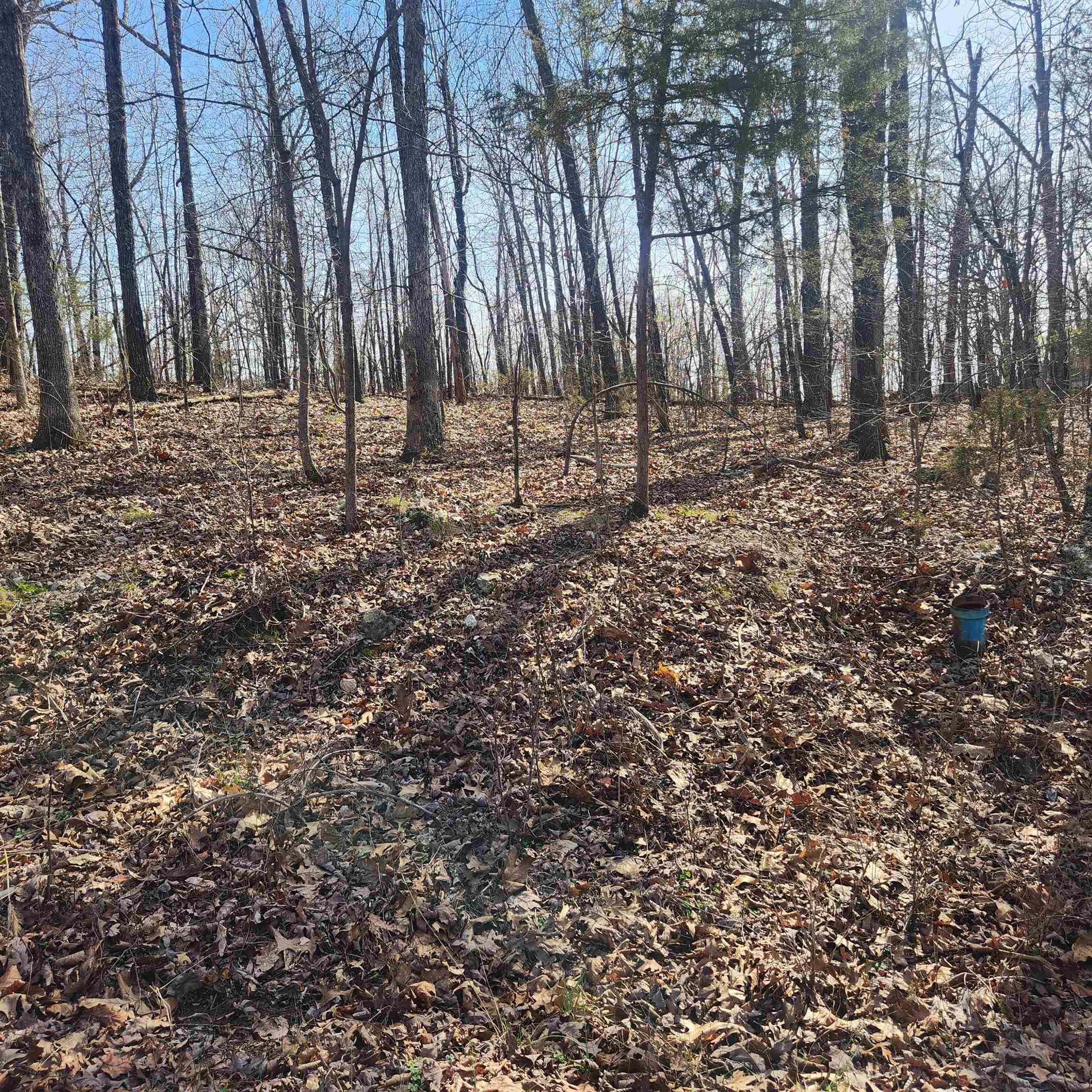 L-4, B-6 Chickasaw  Cherokee Village, AR