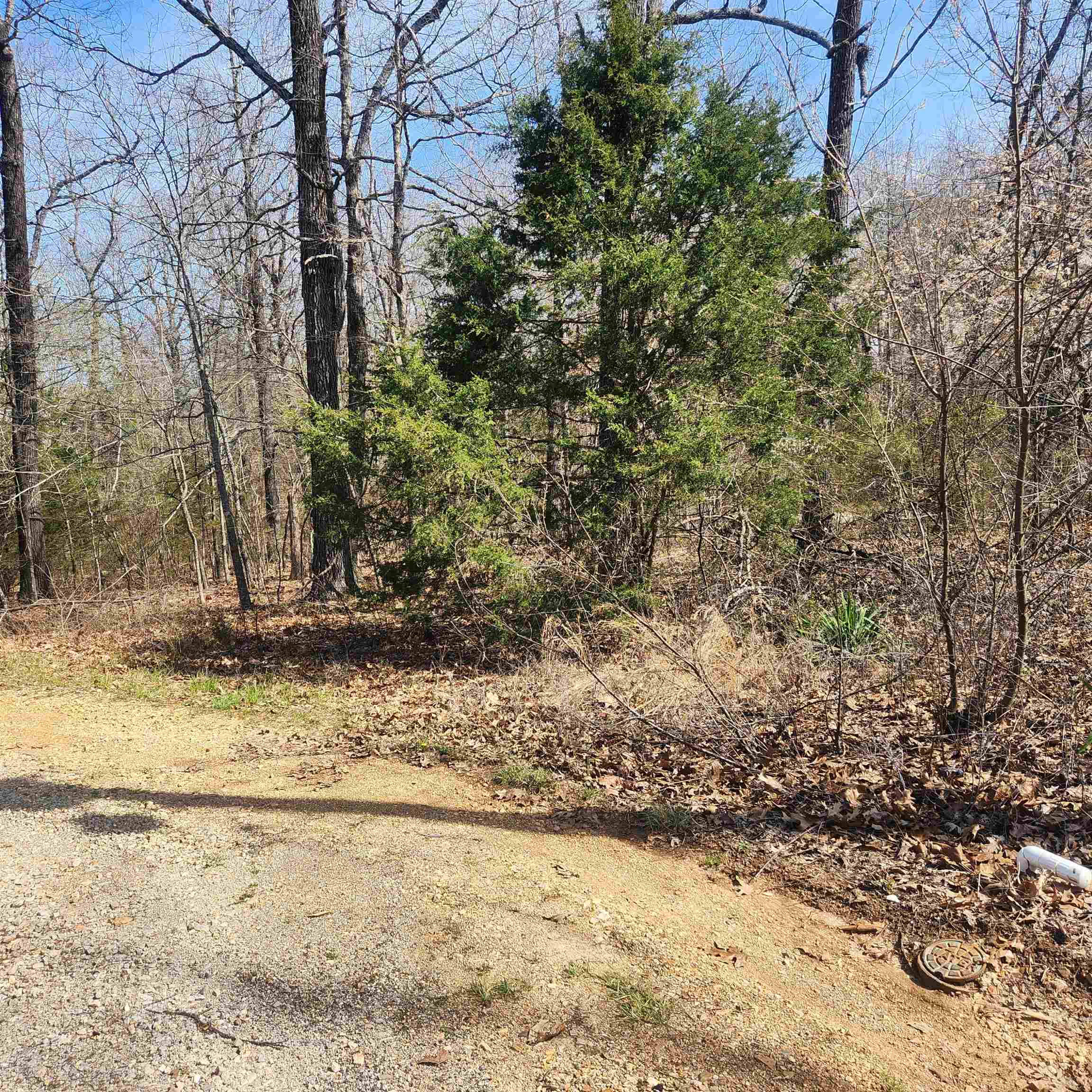 L-7, B-29 Miccosukee  Cherokee Village, AR