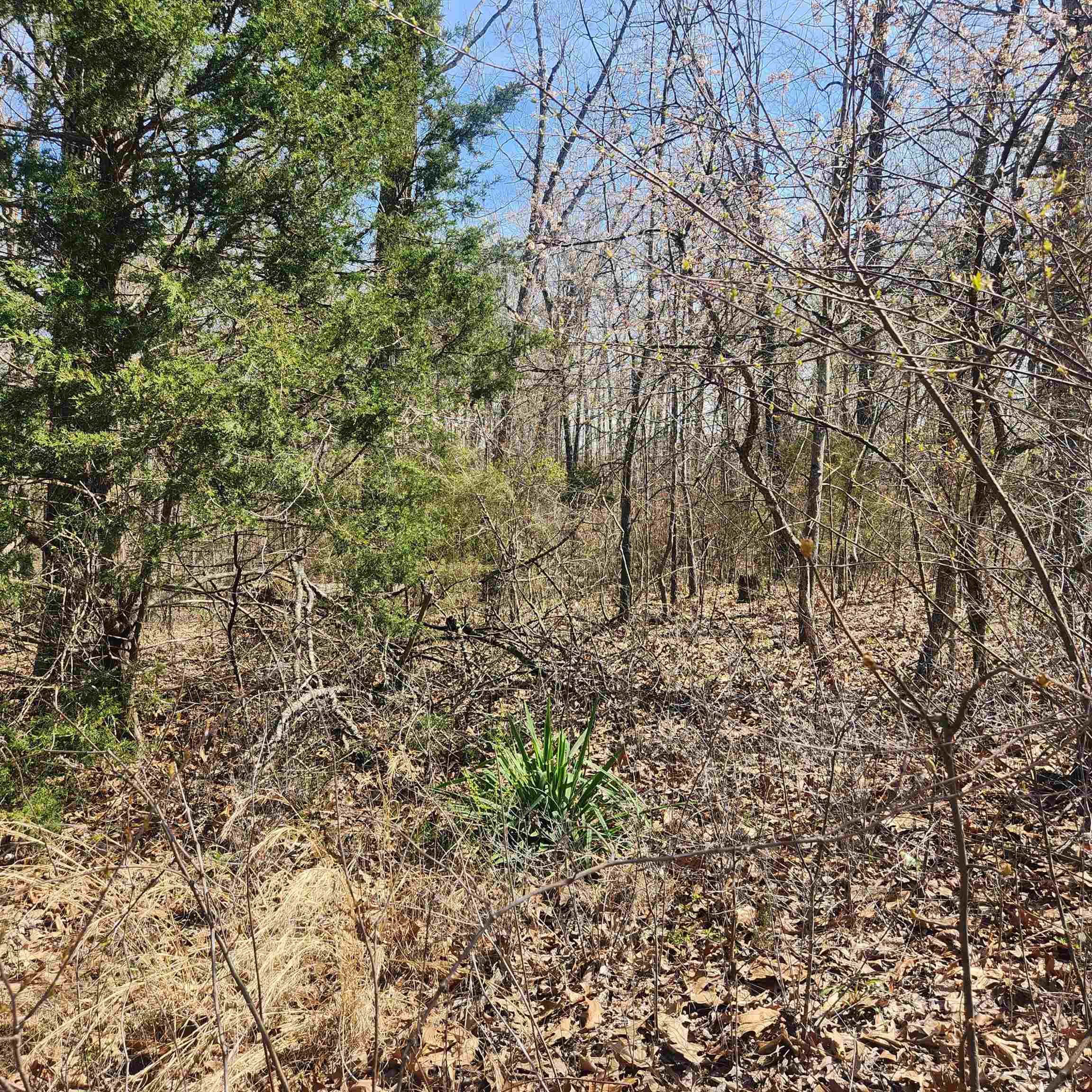 L-7, B-29 Miccosukee  Cherokee Village, AR