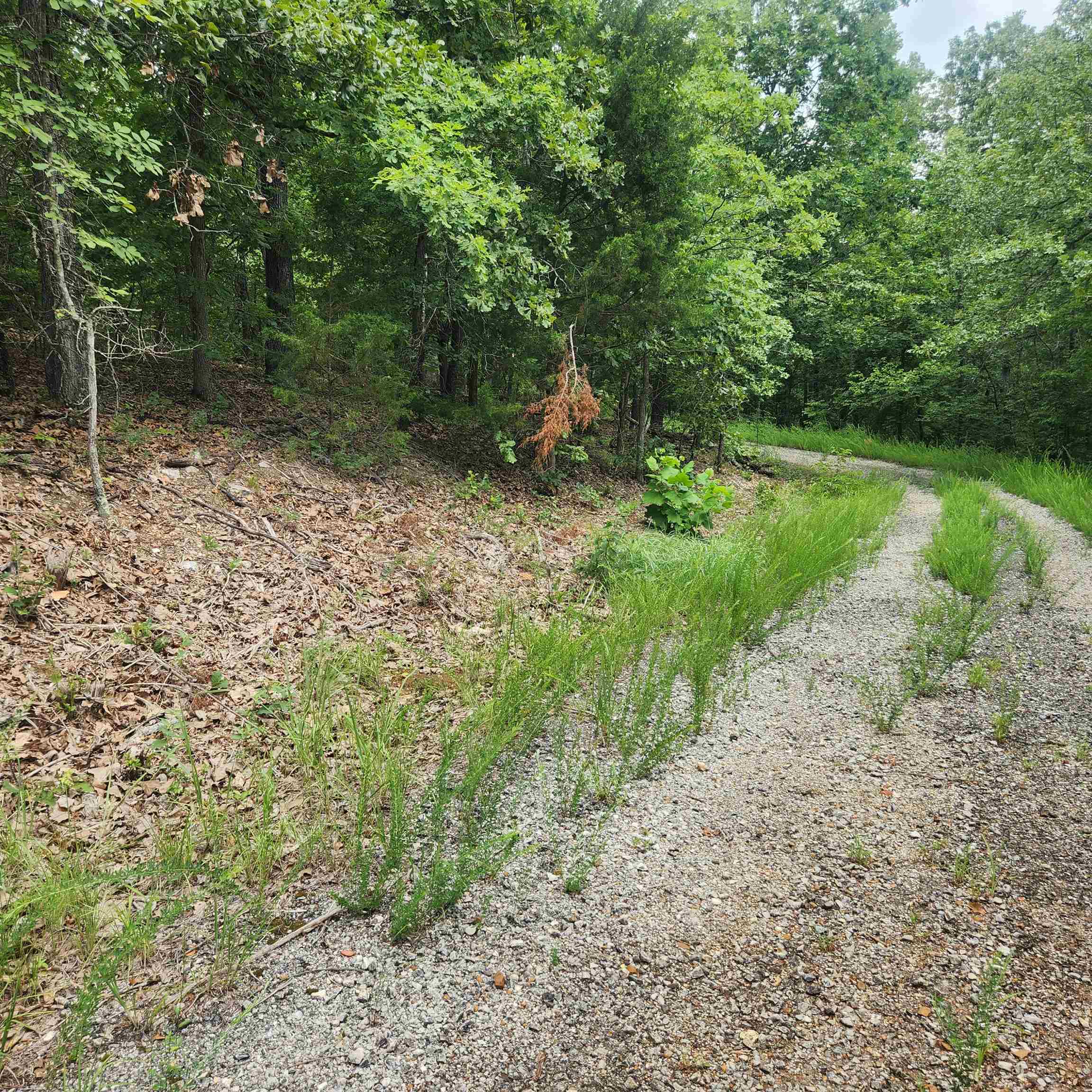 L-60, B-6 Anadarko  Cherokee Village, AR