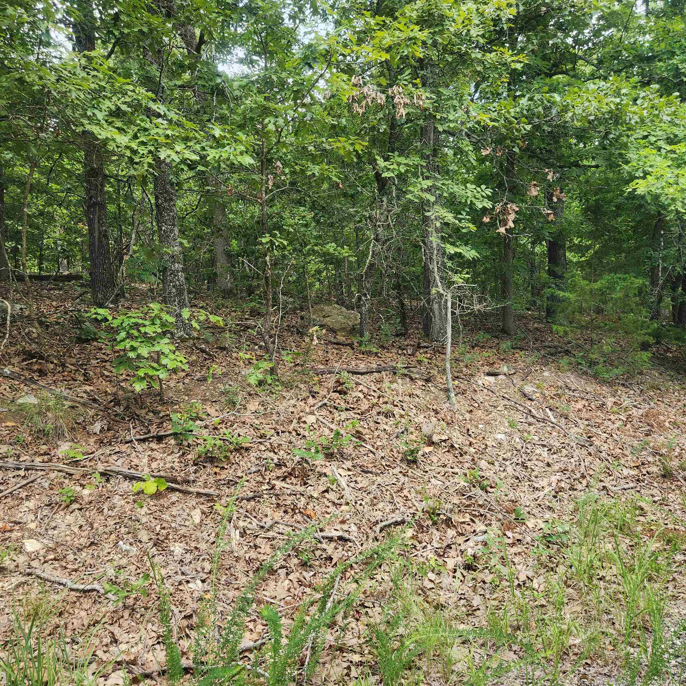 L-60, B-6 Anadarko  Cherokee Village, AR