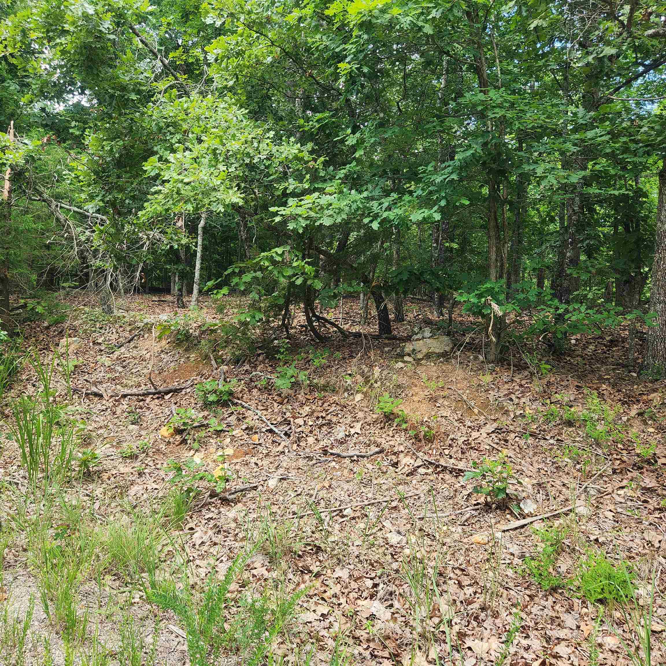 L-60, B-6 Anadarko  Cherokee Village, AR