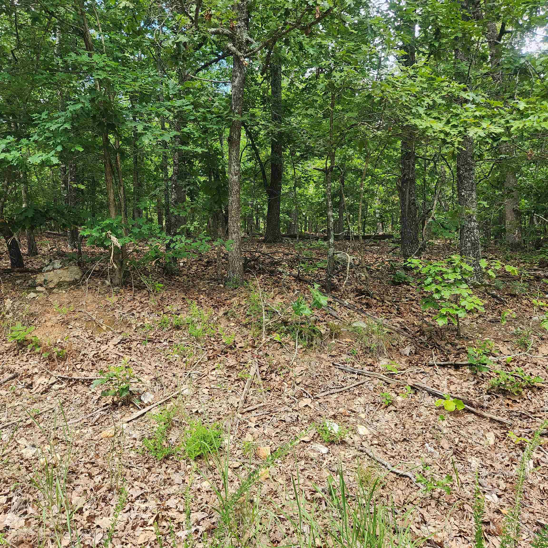 L-60, B-6 Anadarko  Cherokee Village, AR