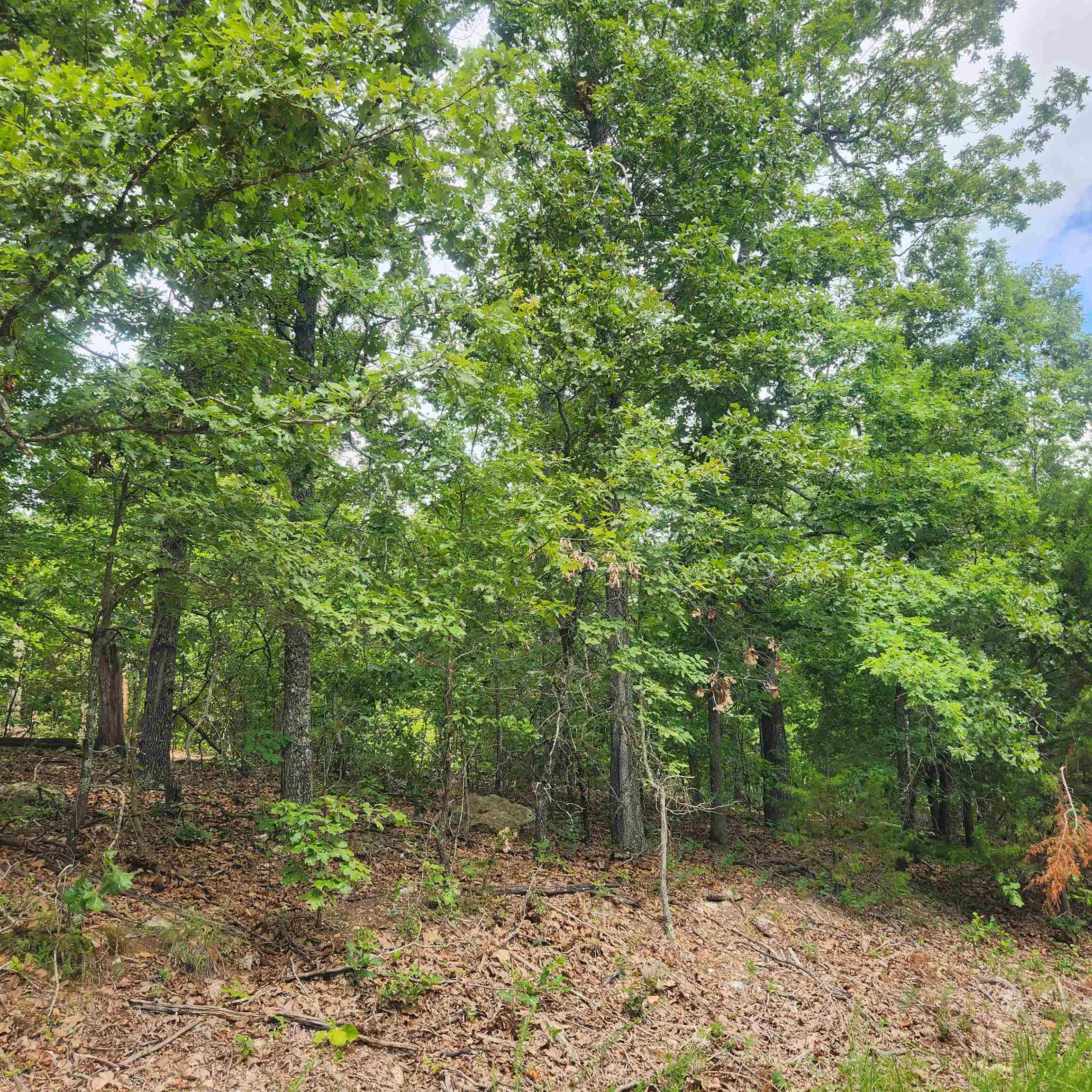 L-60, B-6 Anadarko  Cherokee Village, AR