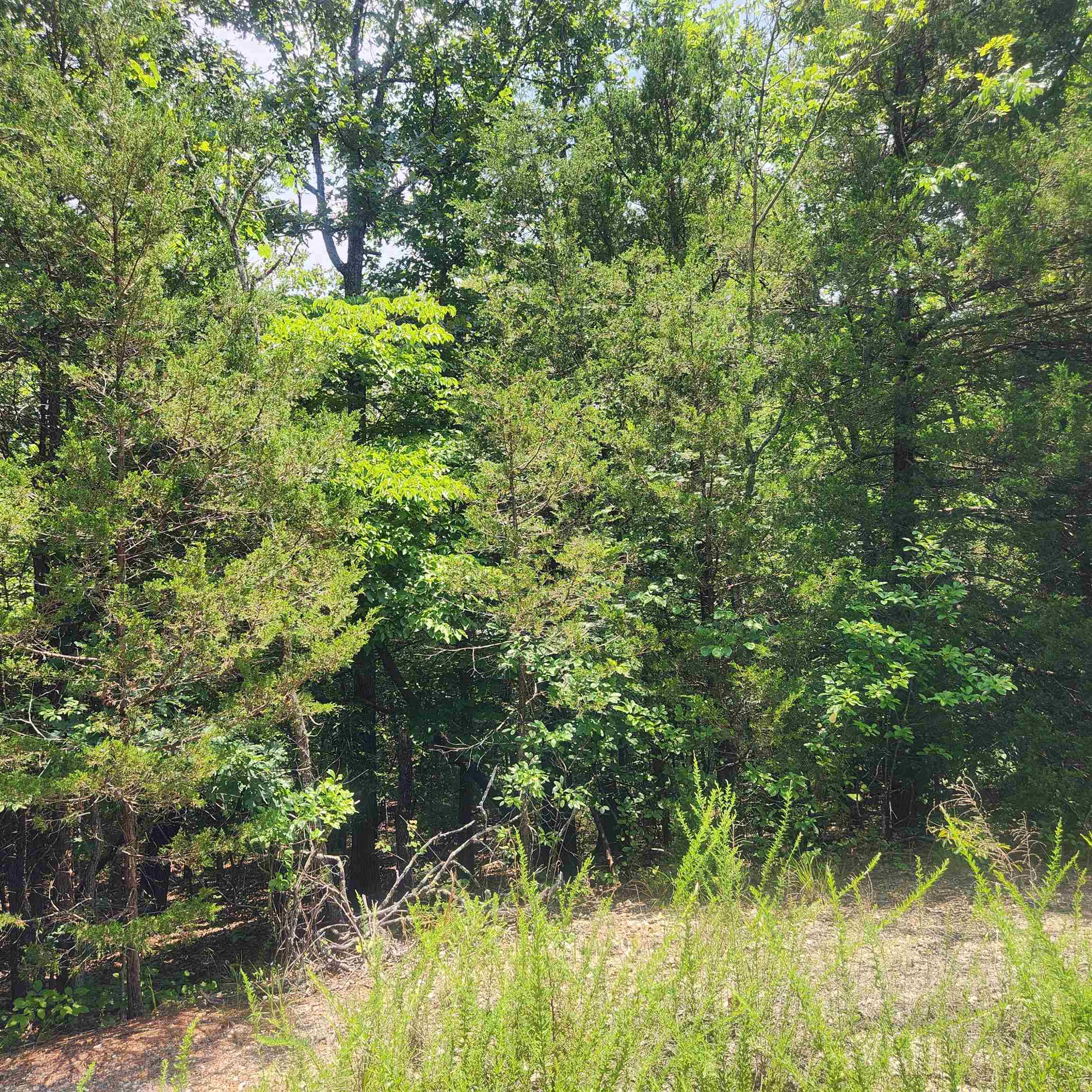 L-83, B-4 Hernando  Cherokee Village, AR