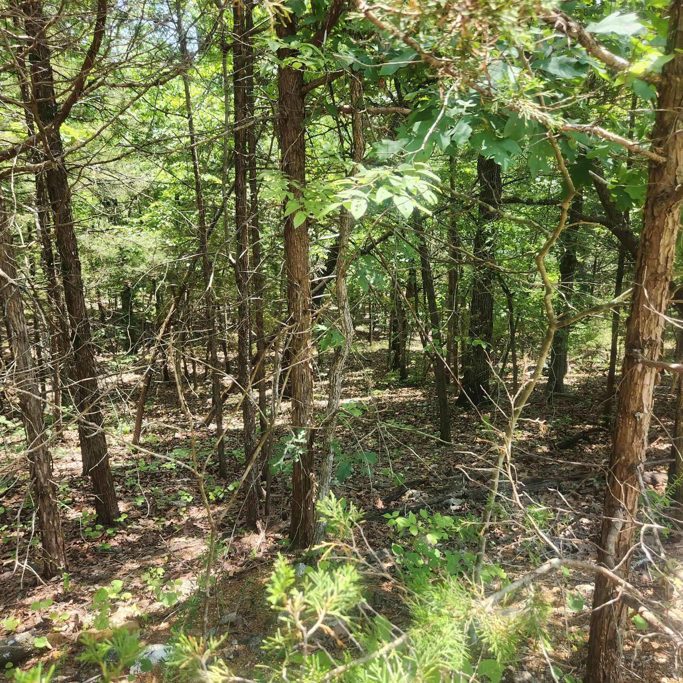 L-83, B-4 Hernando  Cherokee Village, AR