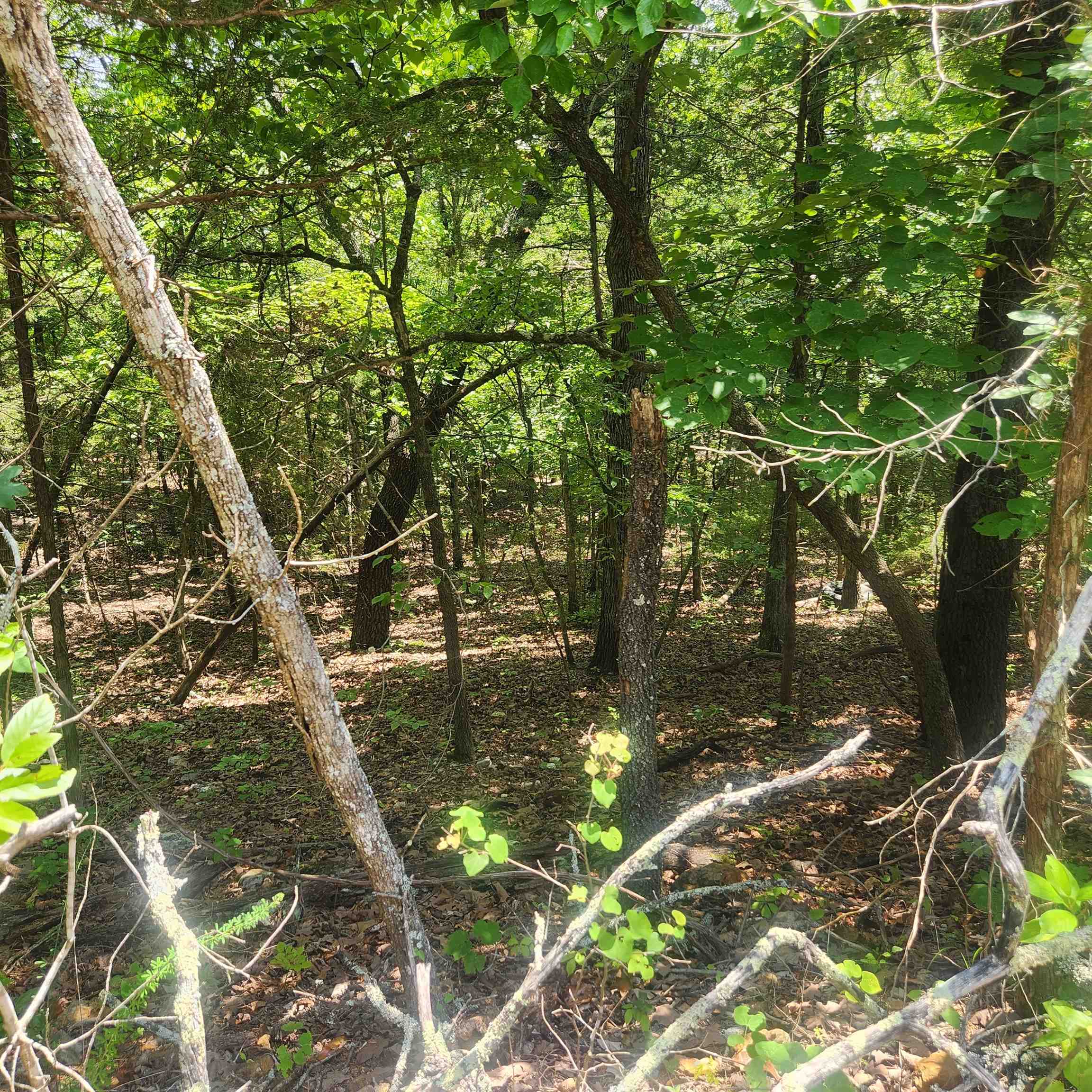 L-83, B-4 Hernando  Cherokee Village, AR