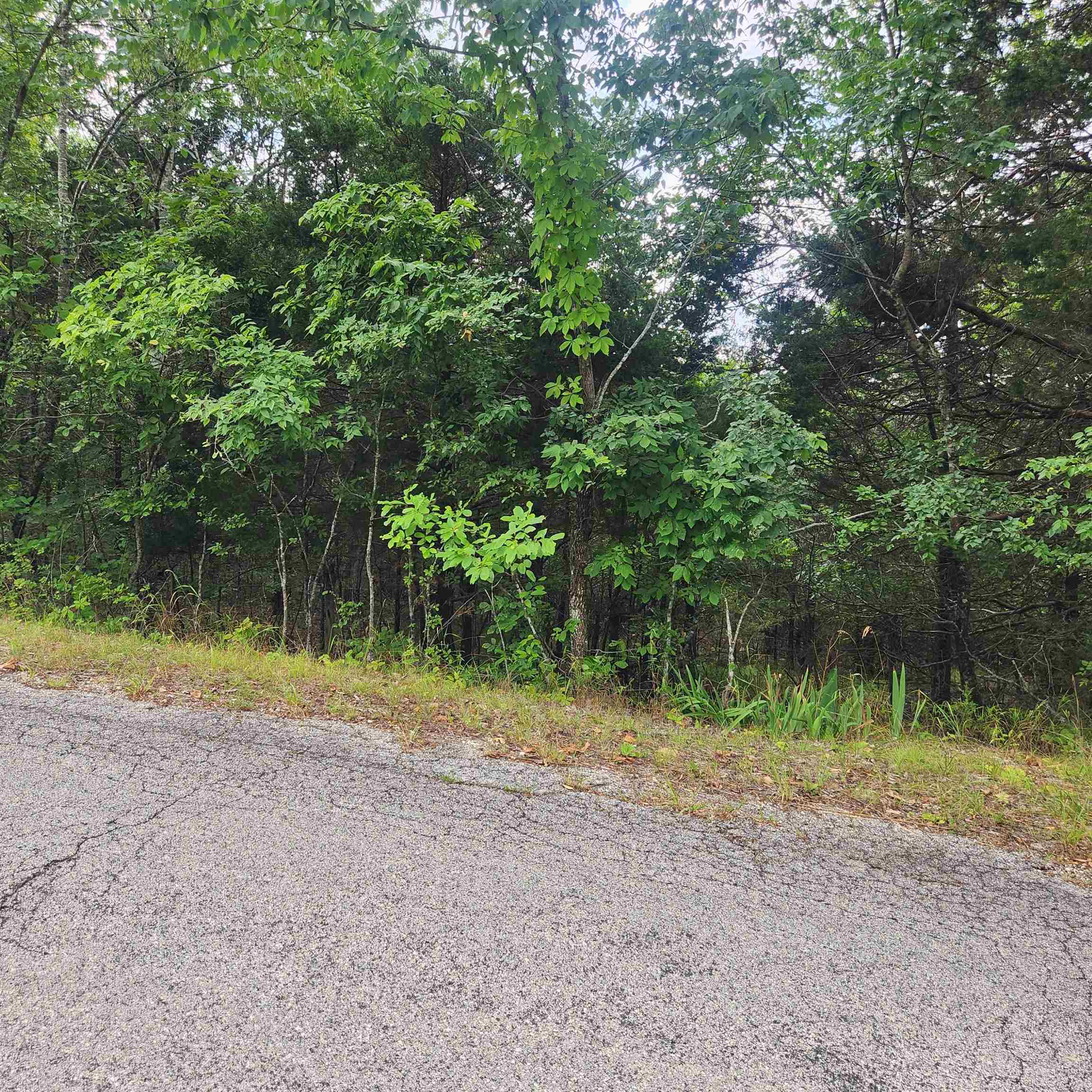 L-22, B-4 Topez  Cherokee Village, AR