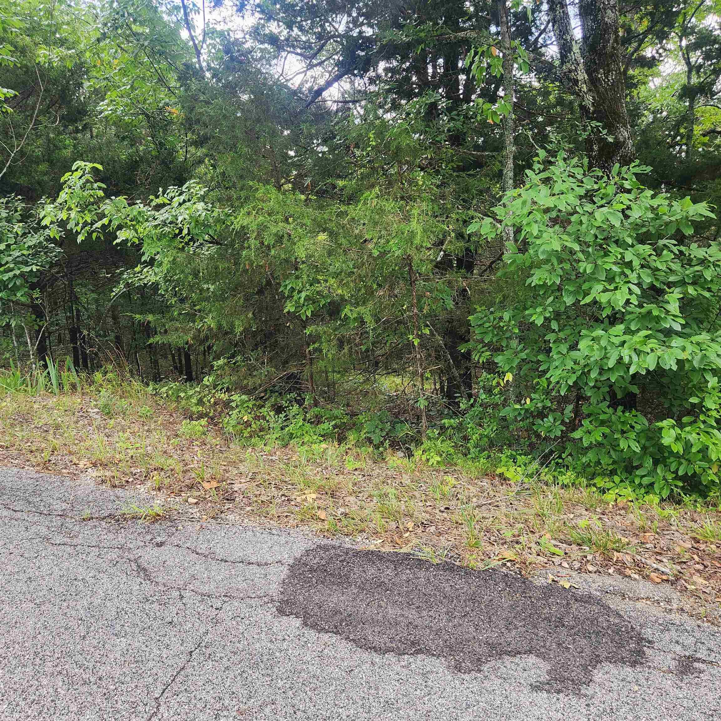 L-22, B-4 Topez  Cherokee Village, AR