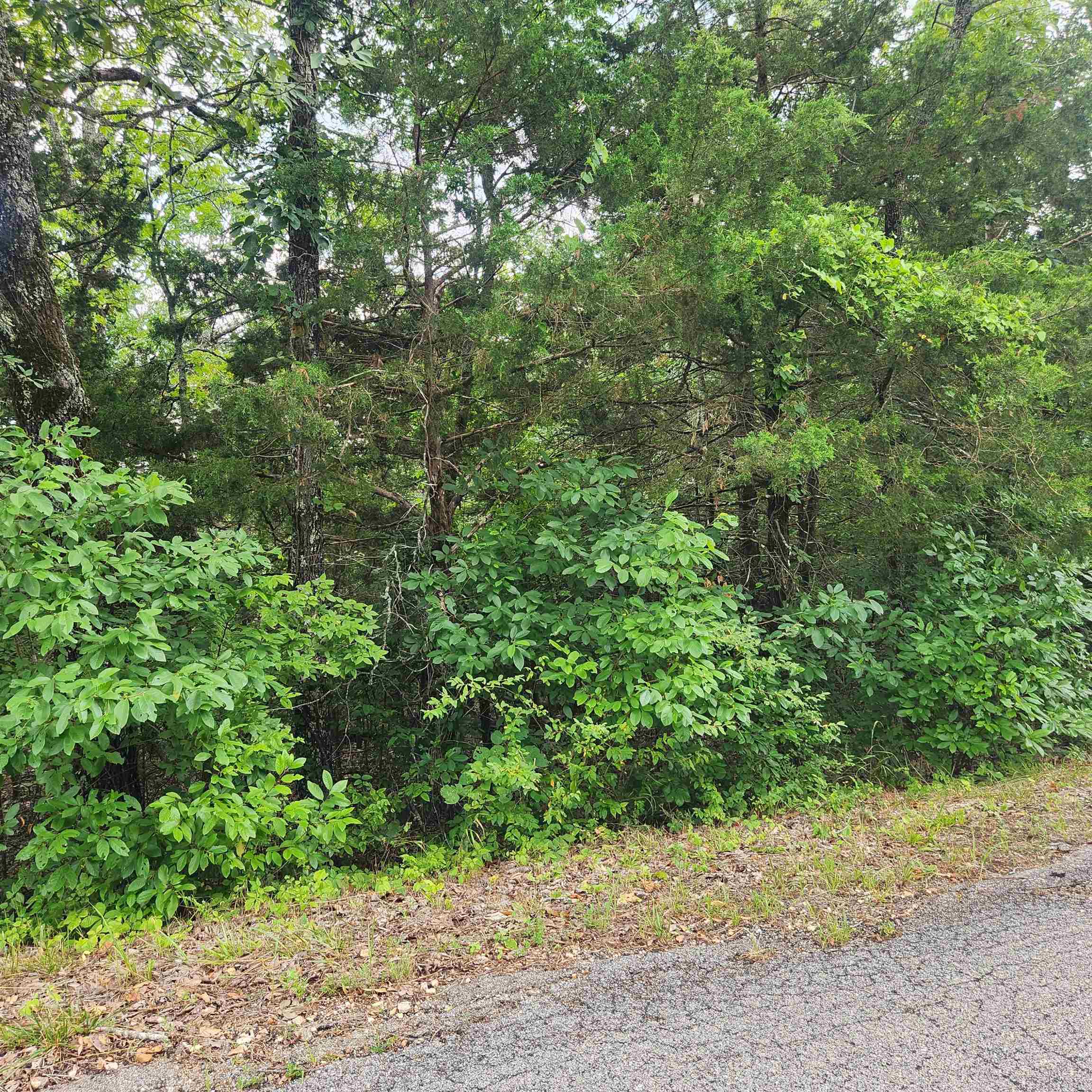 L-22, B-4 Topez  Cherokee Village, AR