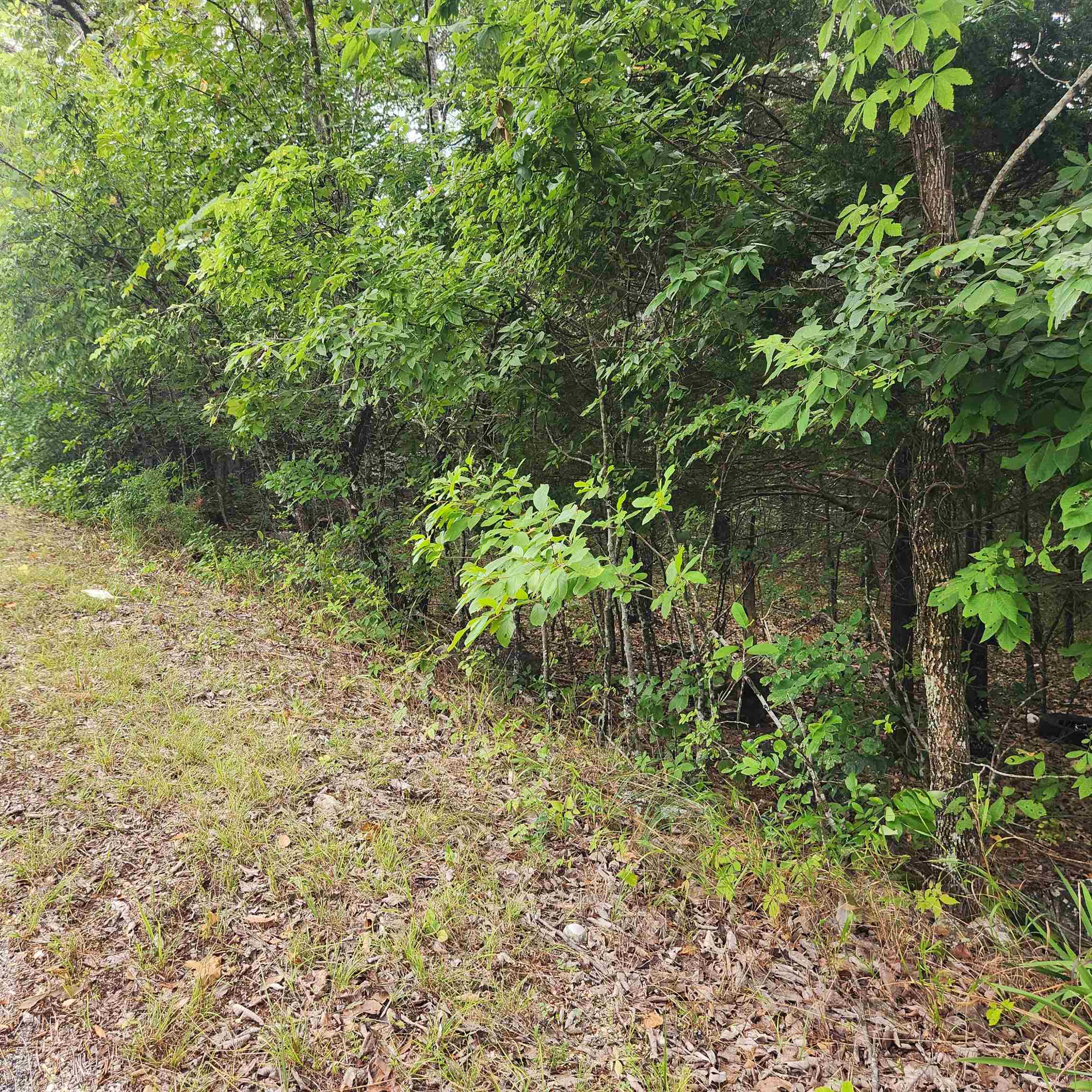 L-22, B-4 Topez  Cherokee Village, AR