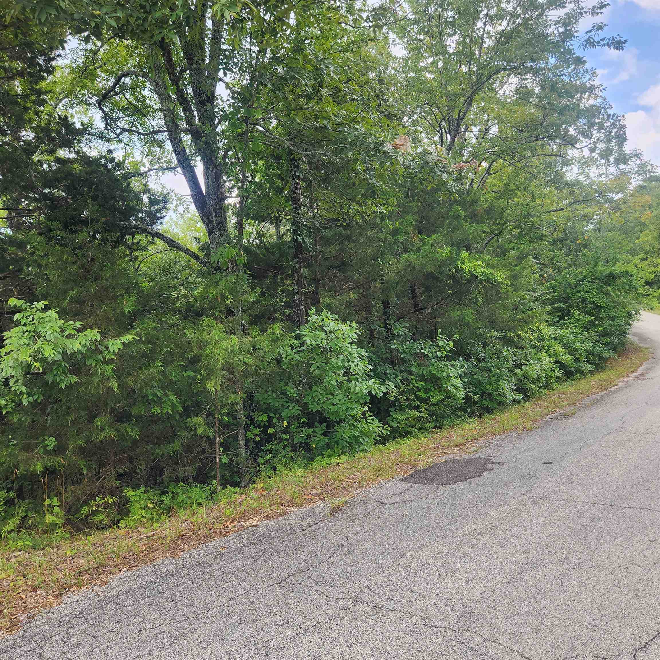 L-22, B-4 Topez  Cherokee Village, AR