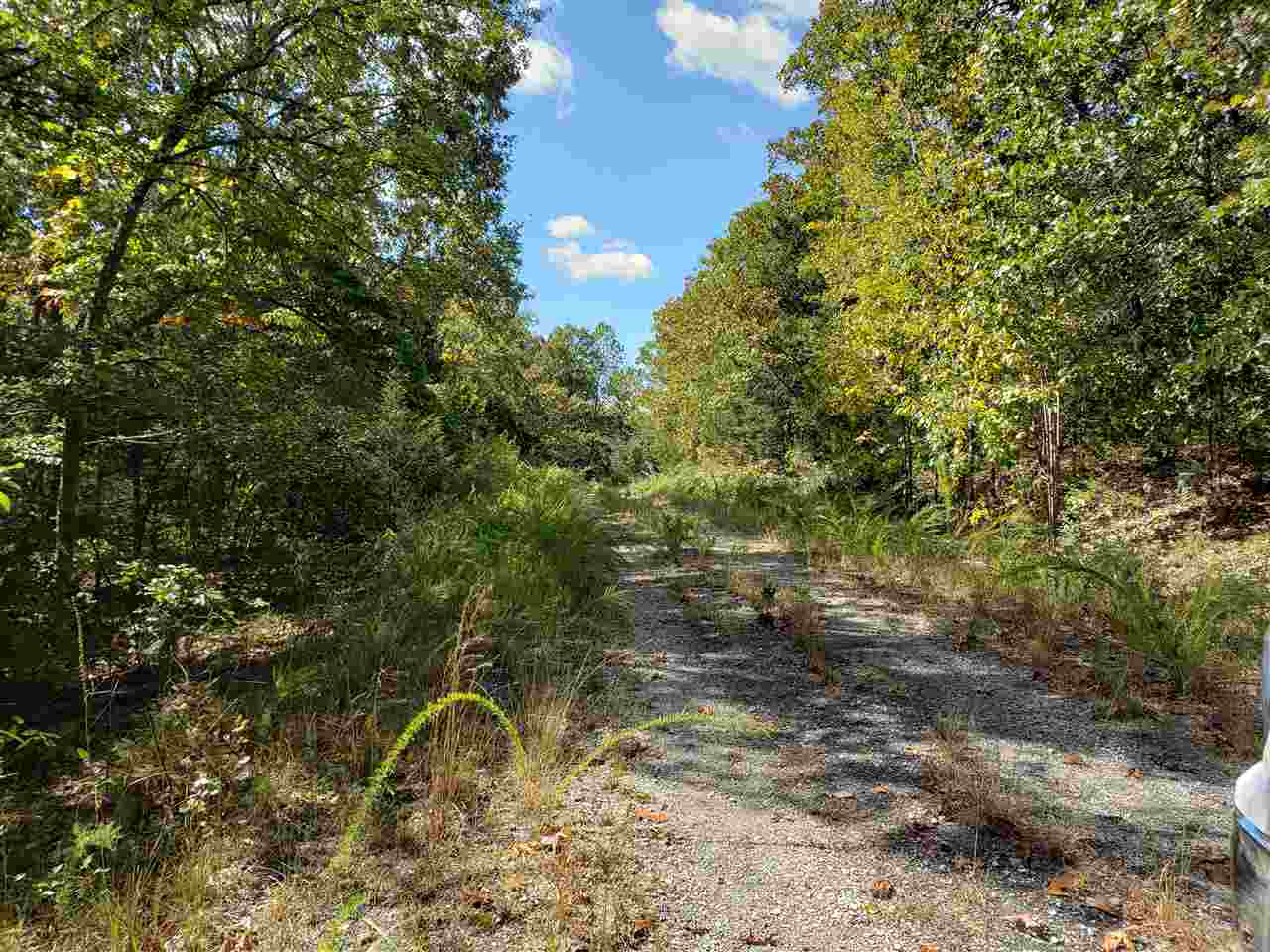 L-55 & 56 B-7 Lochloosa  Cherokee Village, AR
