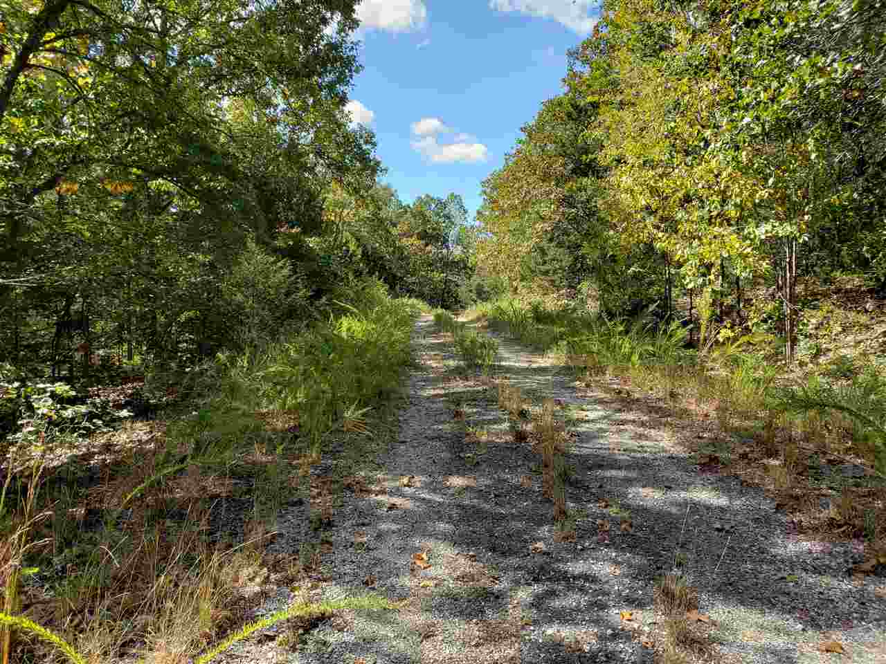 L-55 & 56 B-7 Lochloosa  Cherokee Village, AR