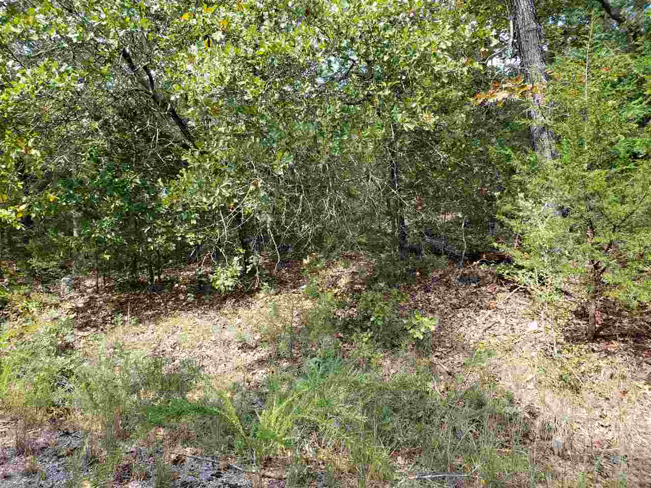L-55 & 56 B-7 Lochloosa  Cherokee Village, AR