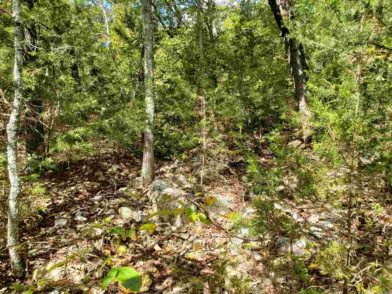 L-55 & 56 B-7 Lochloosa  Cherokee Village, AR