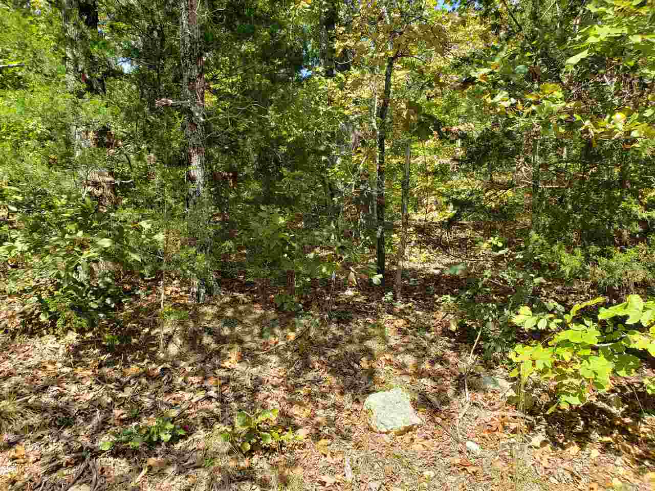 L-55 & 56 B-7 Lochloosa  Cherokee Village, AR