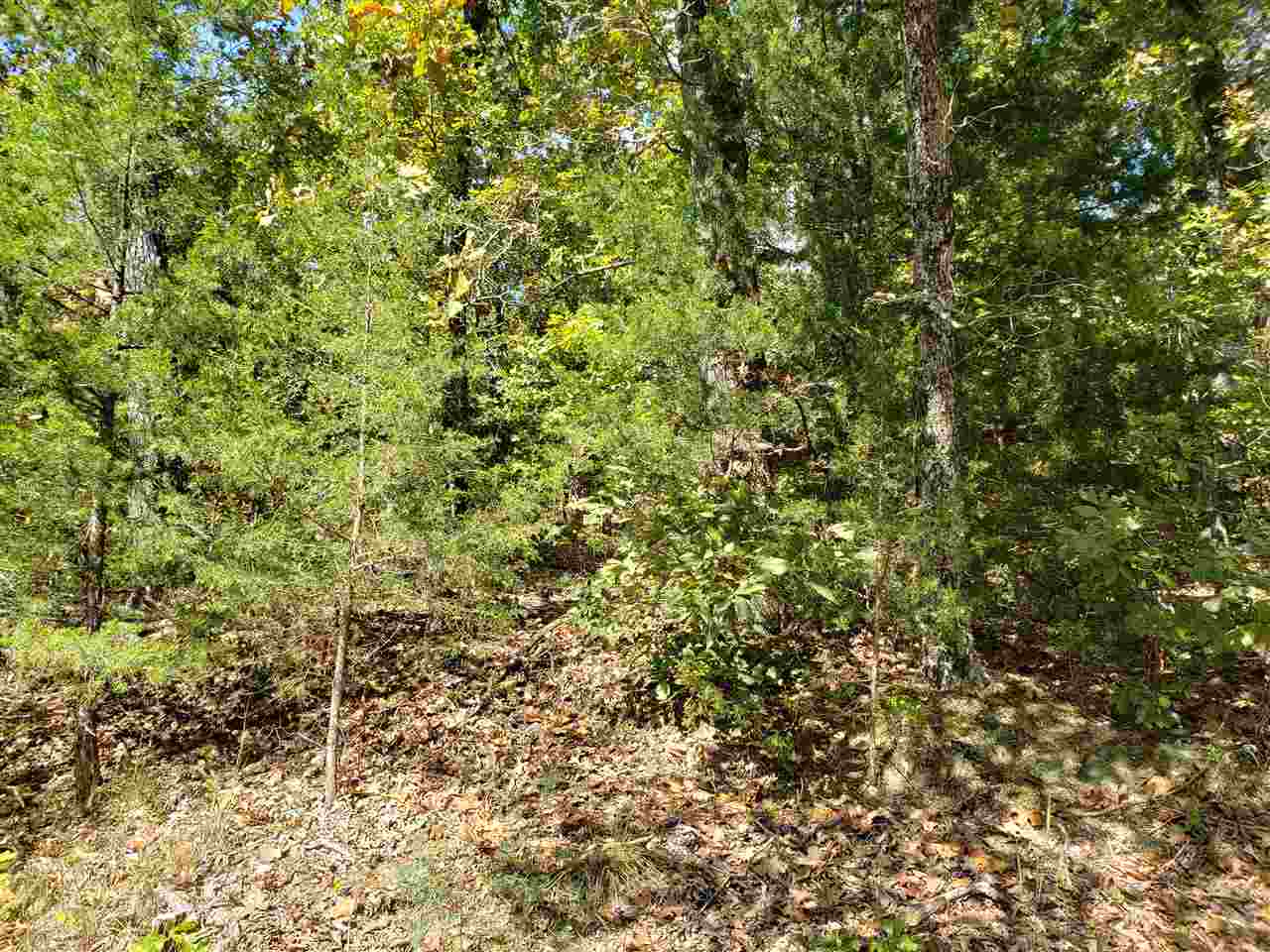 L-55 & 56 B-7 Lochloosa  Cherokee Village, AR