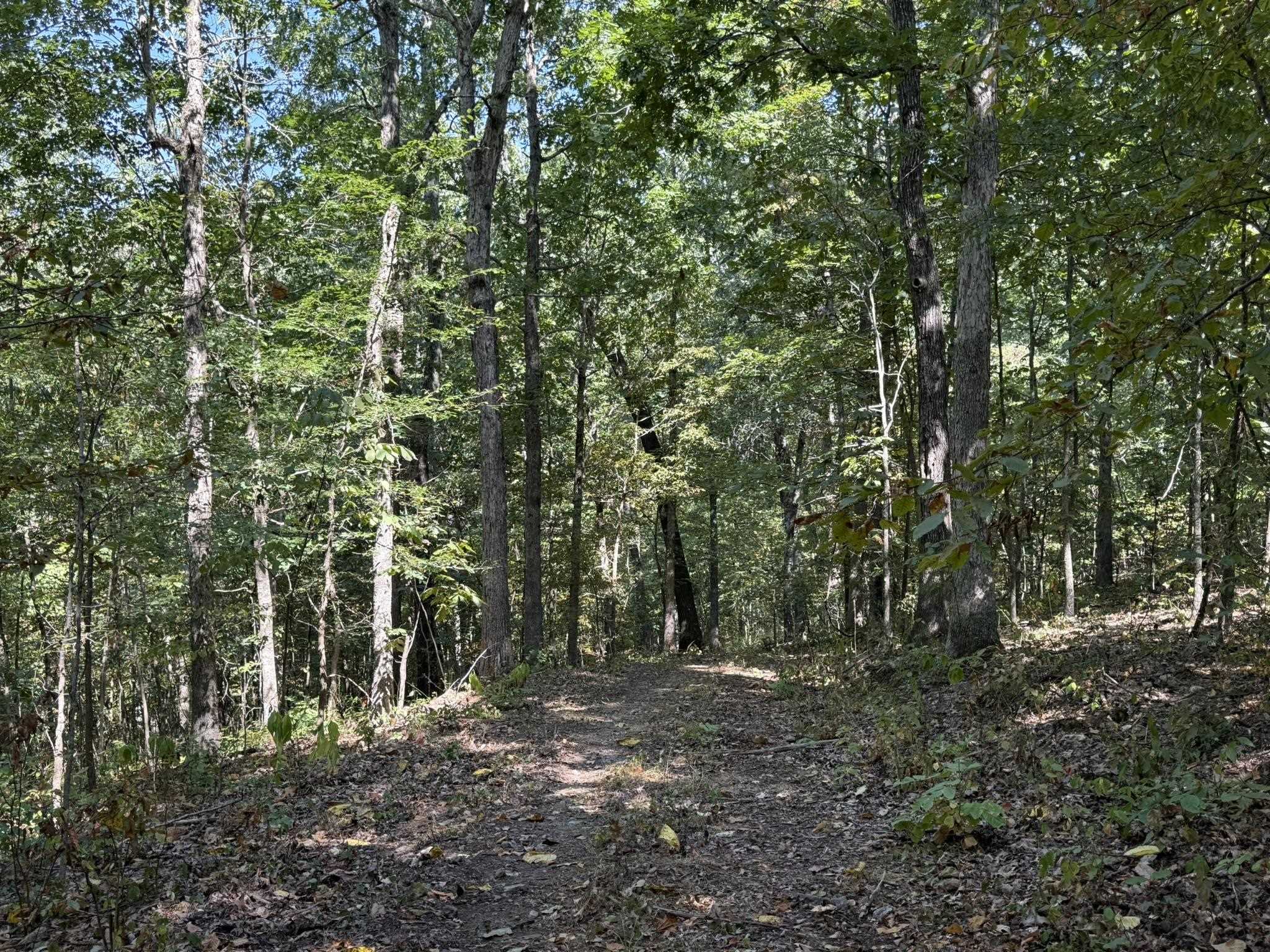 122A Williamson Trail  Guion, AR