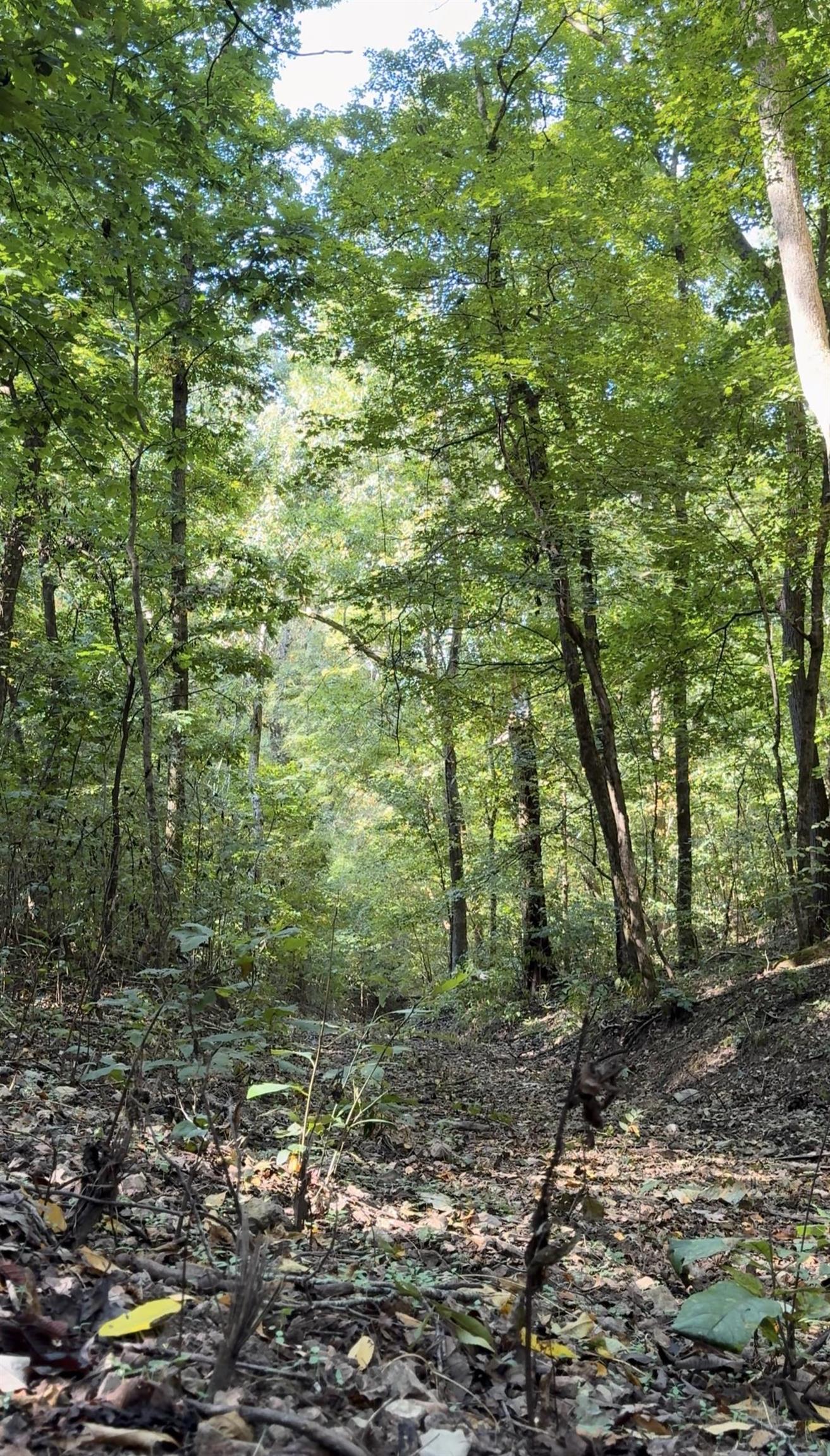 122A Williamson Trail  Guion, AR